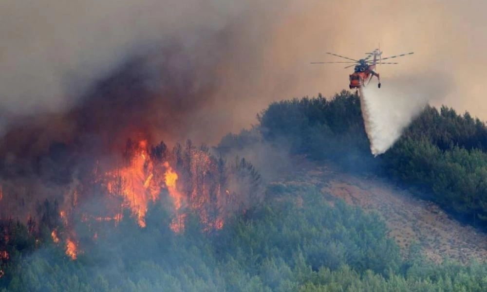 Φωτιά στη Μεσσηνία: Νέο πύρινο μέτωπο καίει στη Μεγαλόπολη